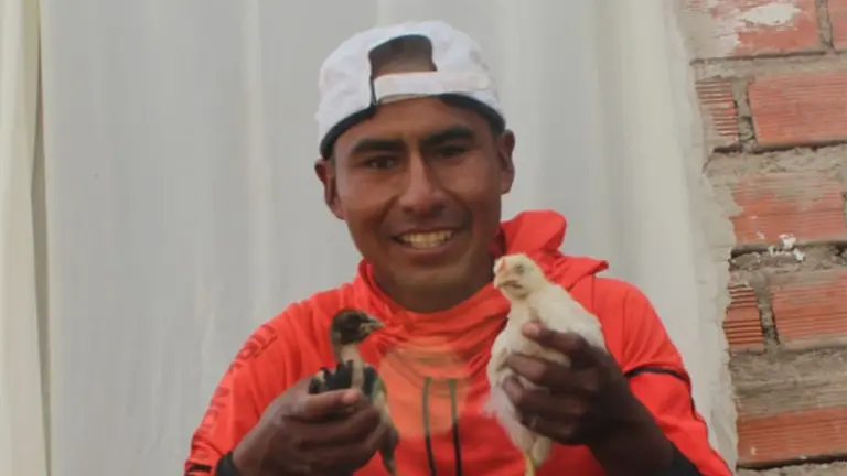 El fondista Daniel Toroya, quien se repone de un accidente, aprovecha la cuarentena con sus pollitos. DANIEL TOROYA