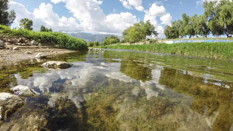 Mejora en la calidad de las aguas del río Rocha. DICO SOLÍS