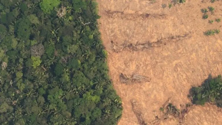 Vista a&eacute;rea deforestadas de la selva amaz&oacute;nica en Brasil. Foto: Archivo EFE