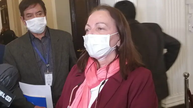 Eidy Roca, exministra de Salud.  ABI