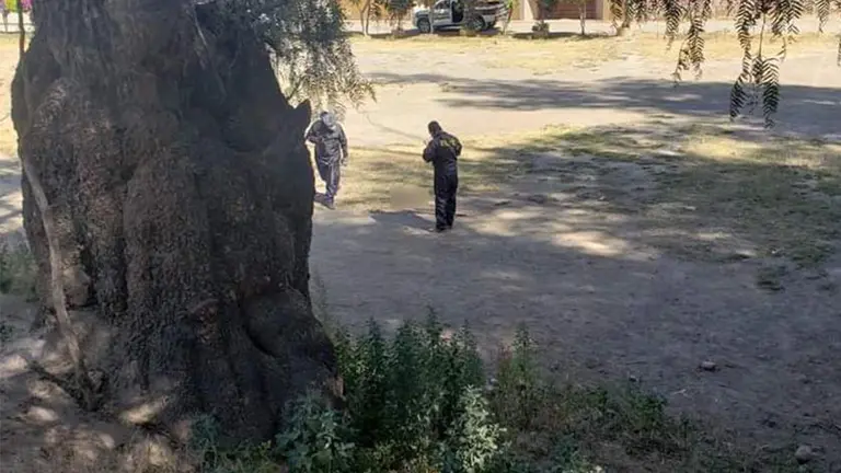 Efectivos realizan el levantamiento de la extremidad inferior hallada en un terreno de Quillacollo- FOTO Policía