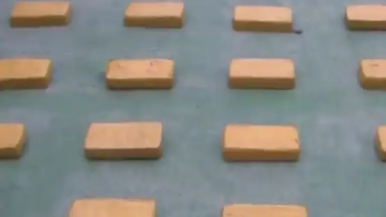 NARCOTR&Aacute;FICO
