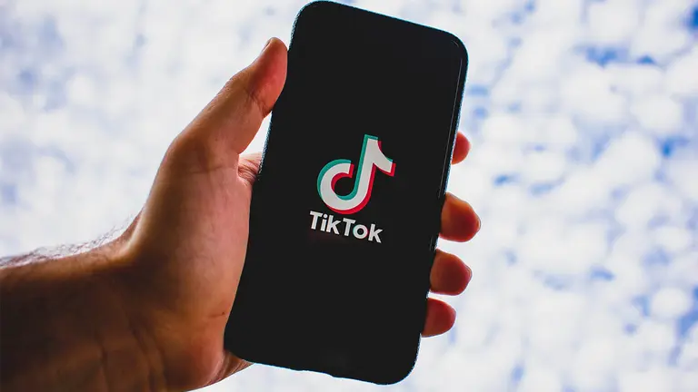 La aplicaci&oacute;n m&oacute;vil TikTok. PIXABAY