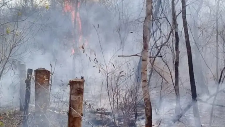Incendio