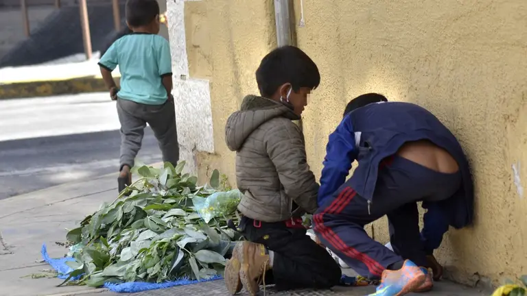 Ni&ntilde;os acomodan un puesto de venta de eucalipto, planta medicinal, en una acera de la ciudad. NO&Eacute; PORTUGAL