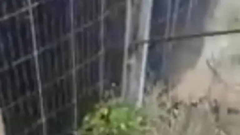 Una imagen del panel solar derribado en Omereque. Captura de video