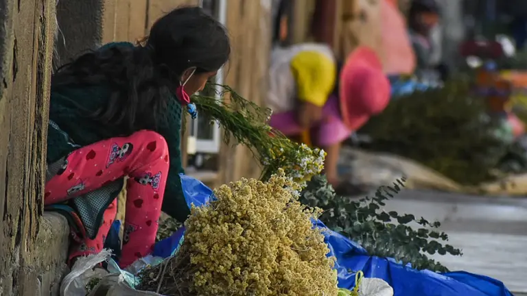 La venta de hierbas medicinales en Cochabamba. DICO SOLÍS