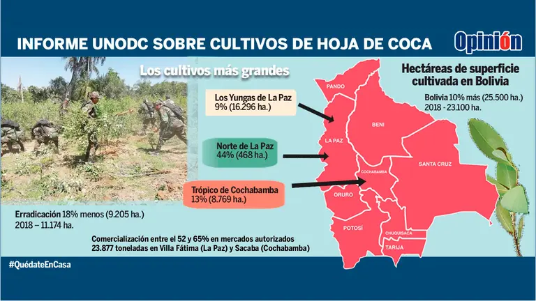 INFOGRAF&Iacute;A