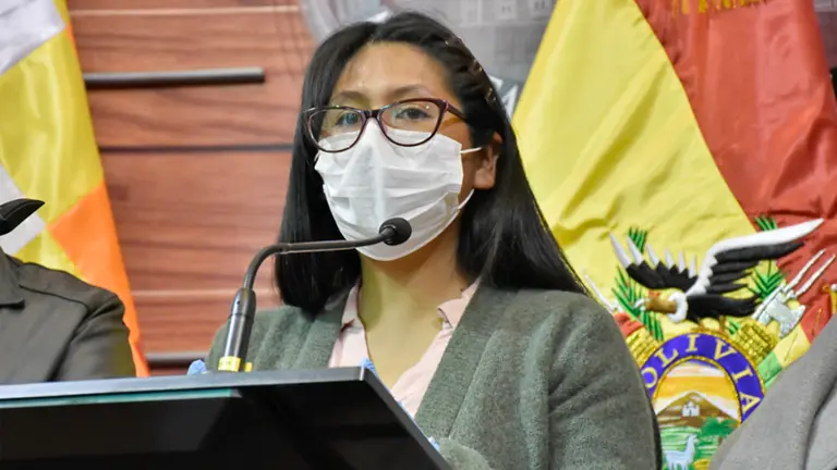La presidenta de la C&aacute;mara de Senadores, Eva Copa.