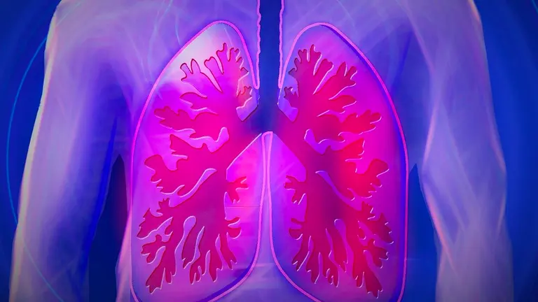 Imagen de unos pulmones. Pixabay