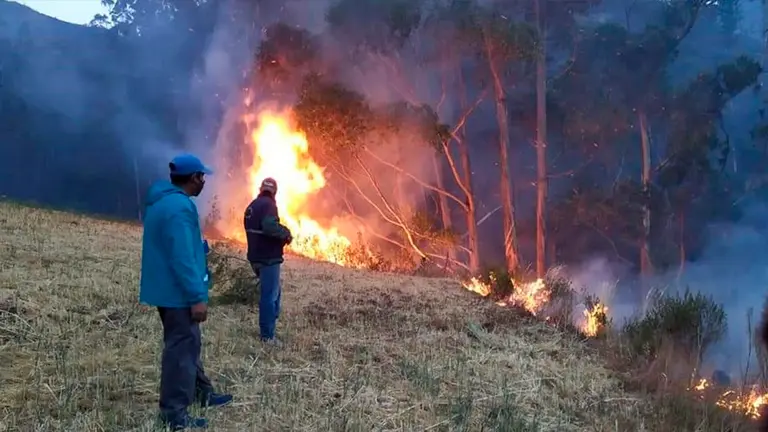 Un bosque de eucalipto ardiendo en la comunidad de Pairumani, Tiraque. Bolivia Prensa