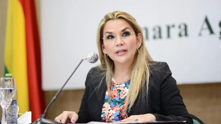 La expresidenta de Bolivia, Jeanine &Aacute;&ntilde;ez en una foto de agosto de 2020. ABI