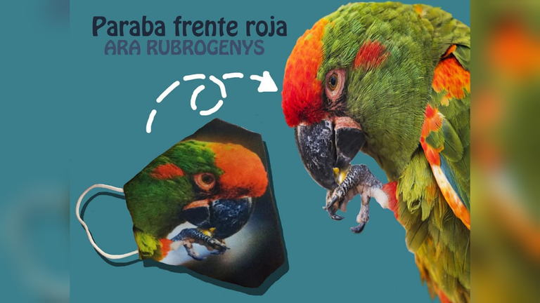 Uno de los dise&ntilde;os de barbijos disponibles. FACEBOOK AGROFLORI