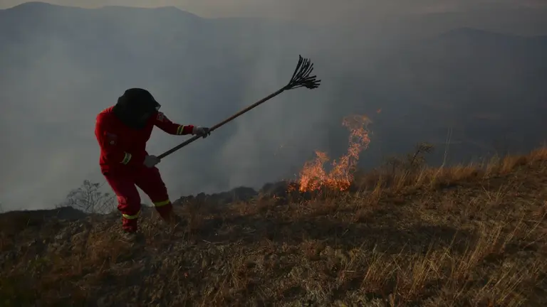 Personal de Bomberos trabaja en sofocar un incendio. FOTO- APG
