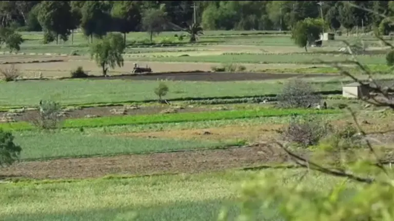 Campos de producci&oacute;n agropecuaria en Aiquile. ALCALD&Iacute;A AIQUILE