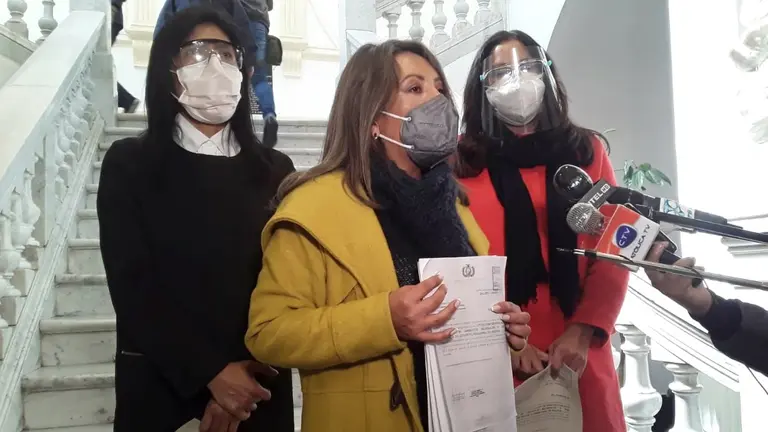 La diputada Claudia Mall&oacute;n explica las caracter&iacute;sticas del proyecto. Peter Luna