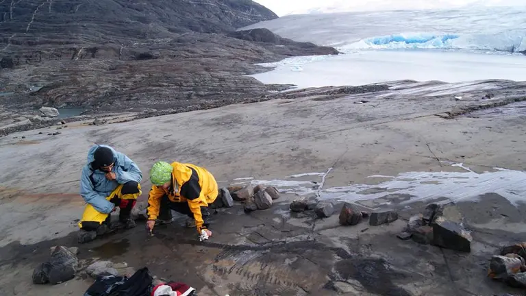 Hallazgo de Iciosaurios en la Patagonia.