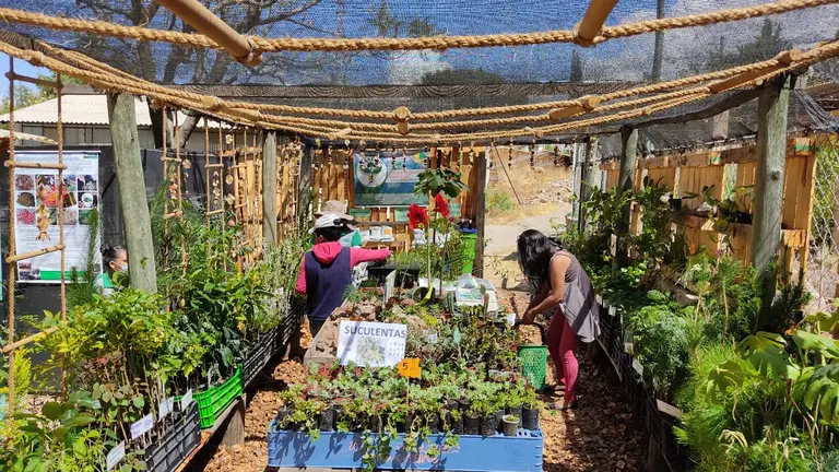 Inauguraci&oacute;n de Mi Mercadito Forestal. NO&Eacute; PORTUGAL