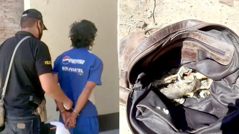 Fotografías del imputado por violencia doméstica y una de las bolsas encontradas con restos de animales.  Policía
