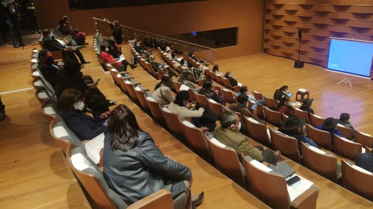La Cámara de Diputados. APG