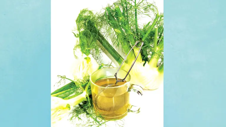 El hinojo ayuda a eliminar los líquidos retenidos en el cuerpo. INFUSIONES.ME