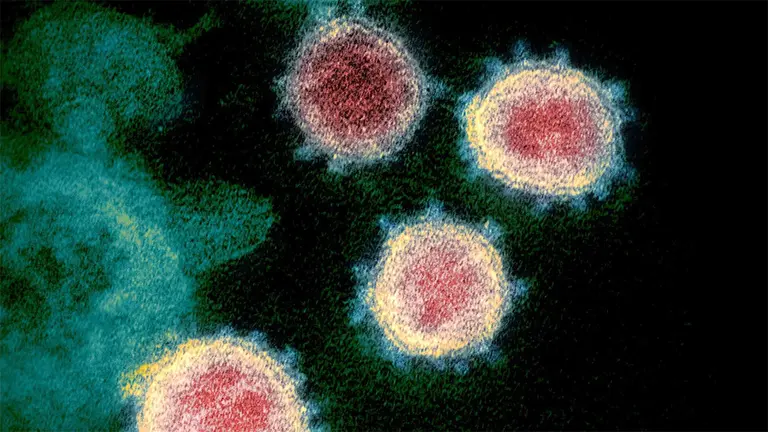 Imagen referencial de un gen superpuesto en el genoma del coronavirus. Ilustraci&oacute;n de BBC