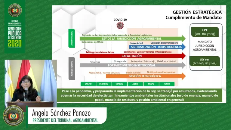 Una imagen de la rendici&oacute;n p&uacute;blica de cuentas del Tribunal Agroambiental. Captura de pantalla