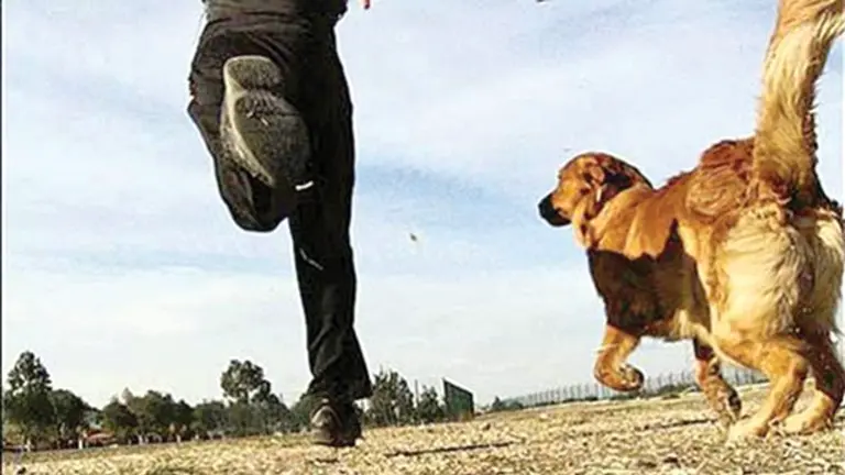 Un can corre junto a una persona. Archivo
