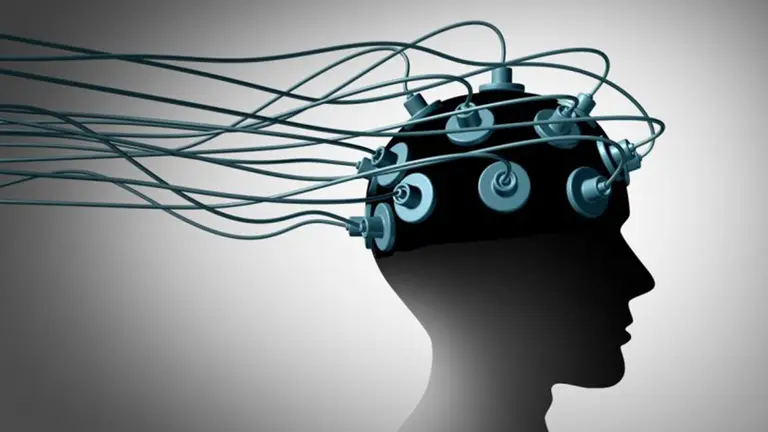 Imagen referencial de un cerebro siendo estudiado. Pixabay