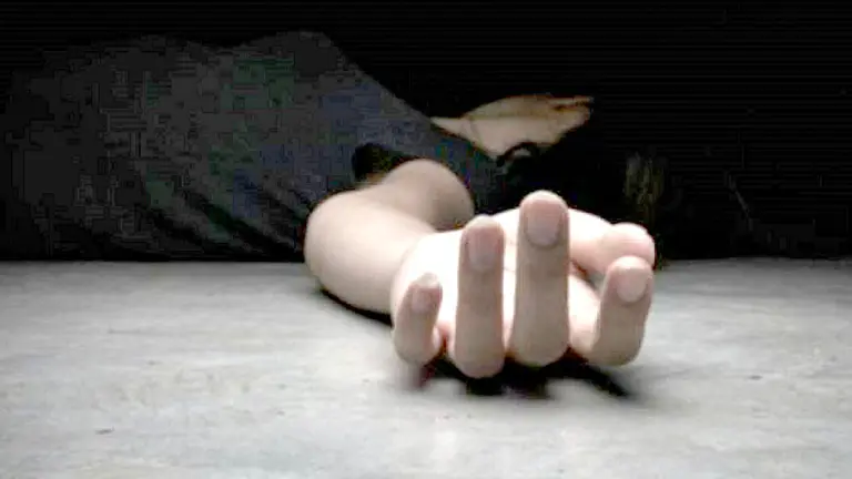 Fotografía ilustrativa de una mujer asesinada./ PIXABAY