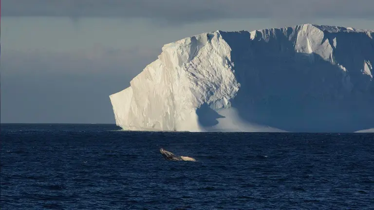 Imagen referencial de un iceberg en la Antartida. EFE