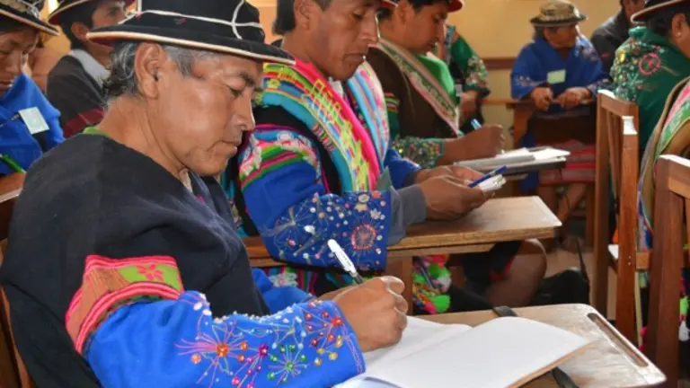 Representantes de los pueblos ind&iacute;genas, en las elecciones de 2020. TSE