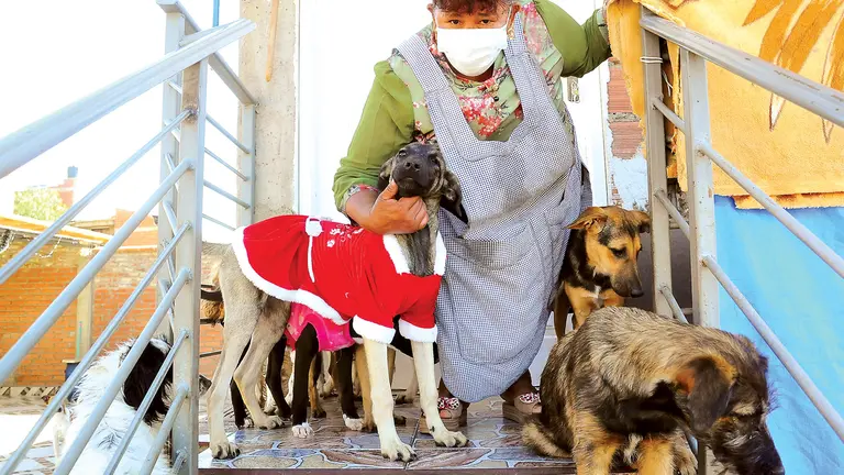 Sandra Linares es la fundadora del refugio chocolate.