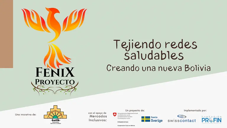 Afiche de Fenix Proyecto. Cortes&iacute;a