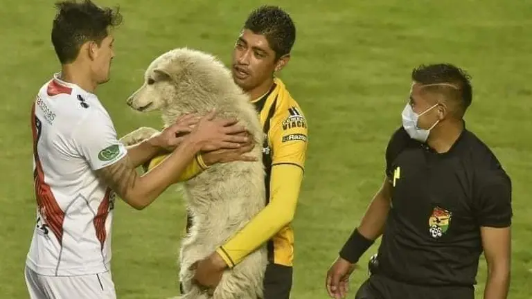 El jugador Ra&uacute;l Castro, junto a Cachito, en un partido de The Strongest. Urgente.bo