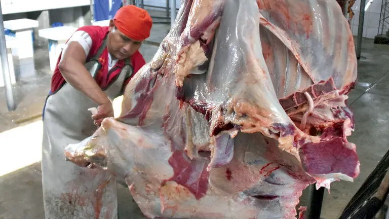 Un hombre descuartiza carne de ganado vacuno. ARCHIVO