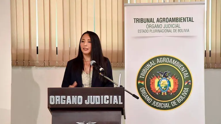 Elva Terceros Cu&eacute;llar, presidenta del Tribunal Agroambiental.