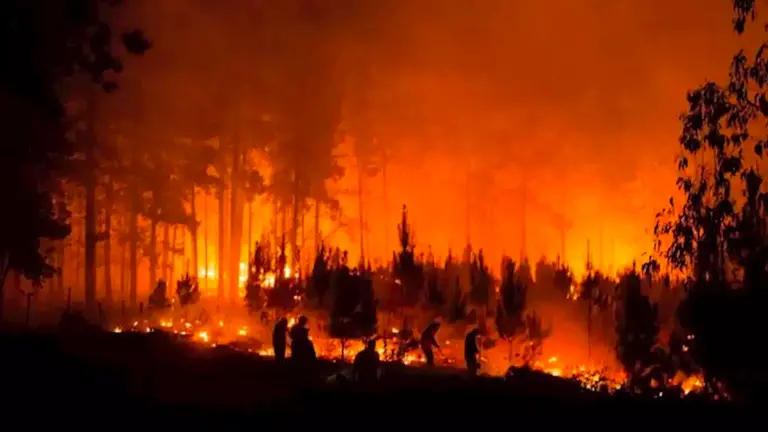 Incendio forestal en el centro de Chile obliga a evacuar a 25.000 personas. ARCHIVO-EFE