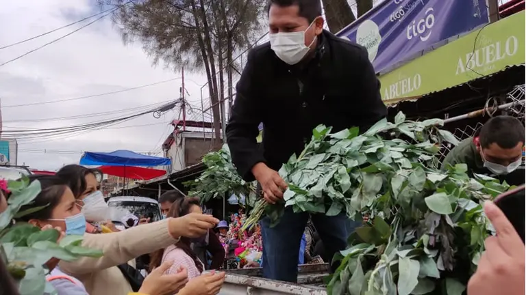 Personal de la Gobernaci&oacute;n de Cochabamba reparten eucalipto. Gobernaci&oacute;n