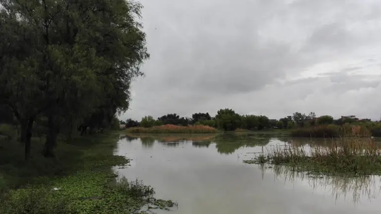 El espejo de agua de la laguna de Co&ntilde;a Co&ntilde;a. Jorge Fernandez