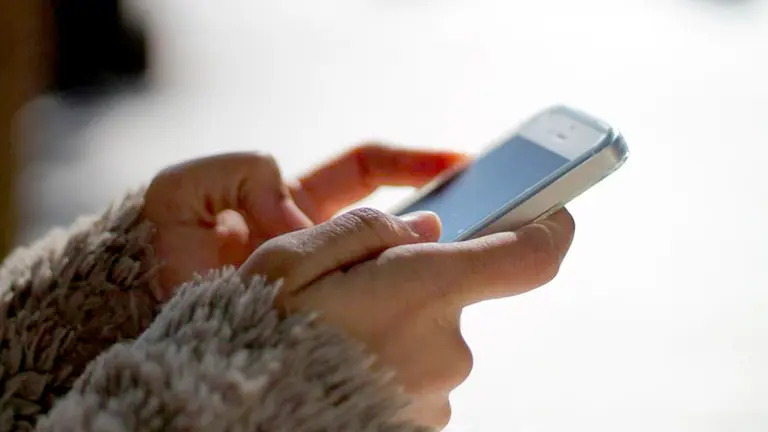 Fotografía ilustrativa de una persona sosteniendo un celular. Pixabay