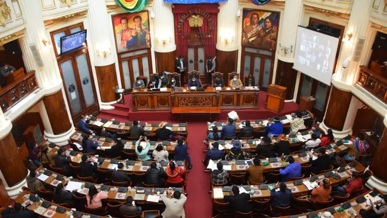 Una sesi&oacute;n de la Asamblea Legislativa Plurinacional.