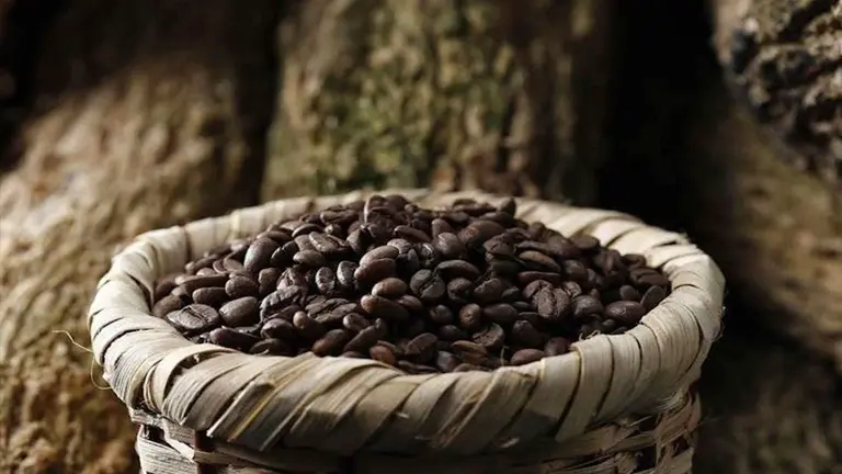 Granos de caf&eacute; en un recipiente. Imagen referencial de EFE