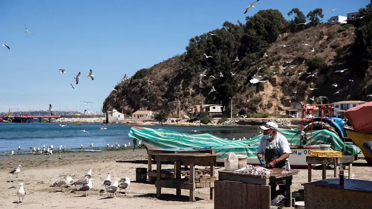 Un hombre limpia y vende pescado, el 16 de marzo de 2021, en la playa de la comuna de Puchuncav&iacute;, en la regi&oacute;n de Valpara&iacute;so. EFE