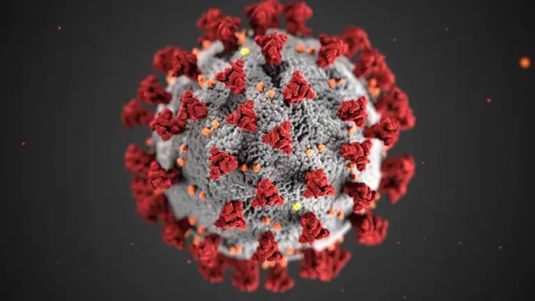 El coronavirus original. EFE