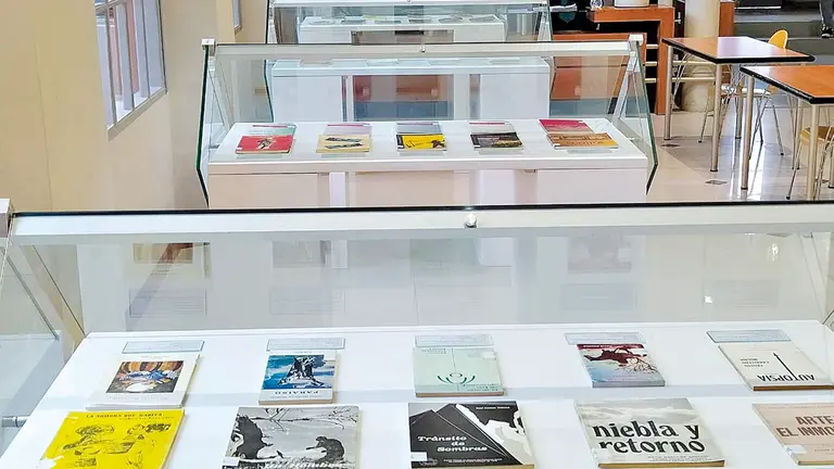 Vista de la exposición bibliográfica &ldquo;Premios Nacionales de Cuento&rdquo;. DICO SOLÍS