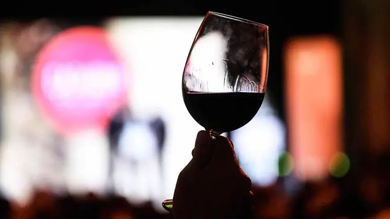 Fotograf&iacute;a de una copa de vino. EFE