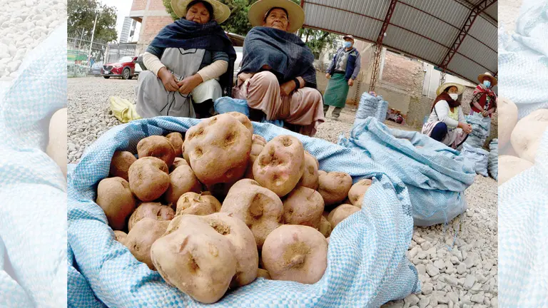Productores ofrecen papa en un mercado de Cochabamba. DICO SOLÍS