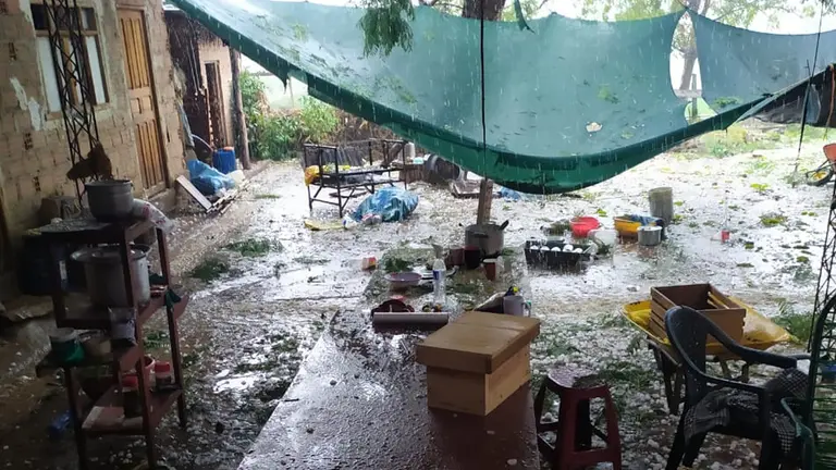 La situaci&oacute;n luego de la granizada en Omereque. Gentileza: H&eacute;ctor Arce.
