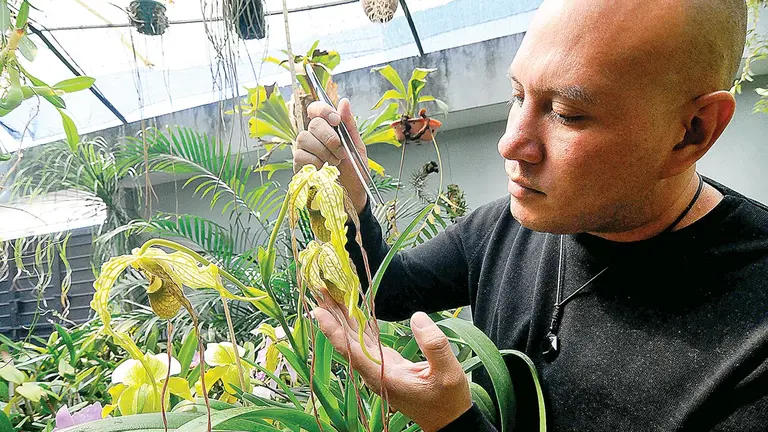 Diego Quiroga junto a una de sus orquídeas de colección.    Noé Portugal